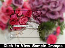 Sample Images